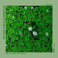 Premiere : Bottene & Nicolas Bordolini - Where Are You (PRK043)