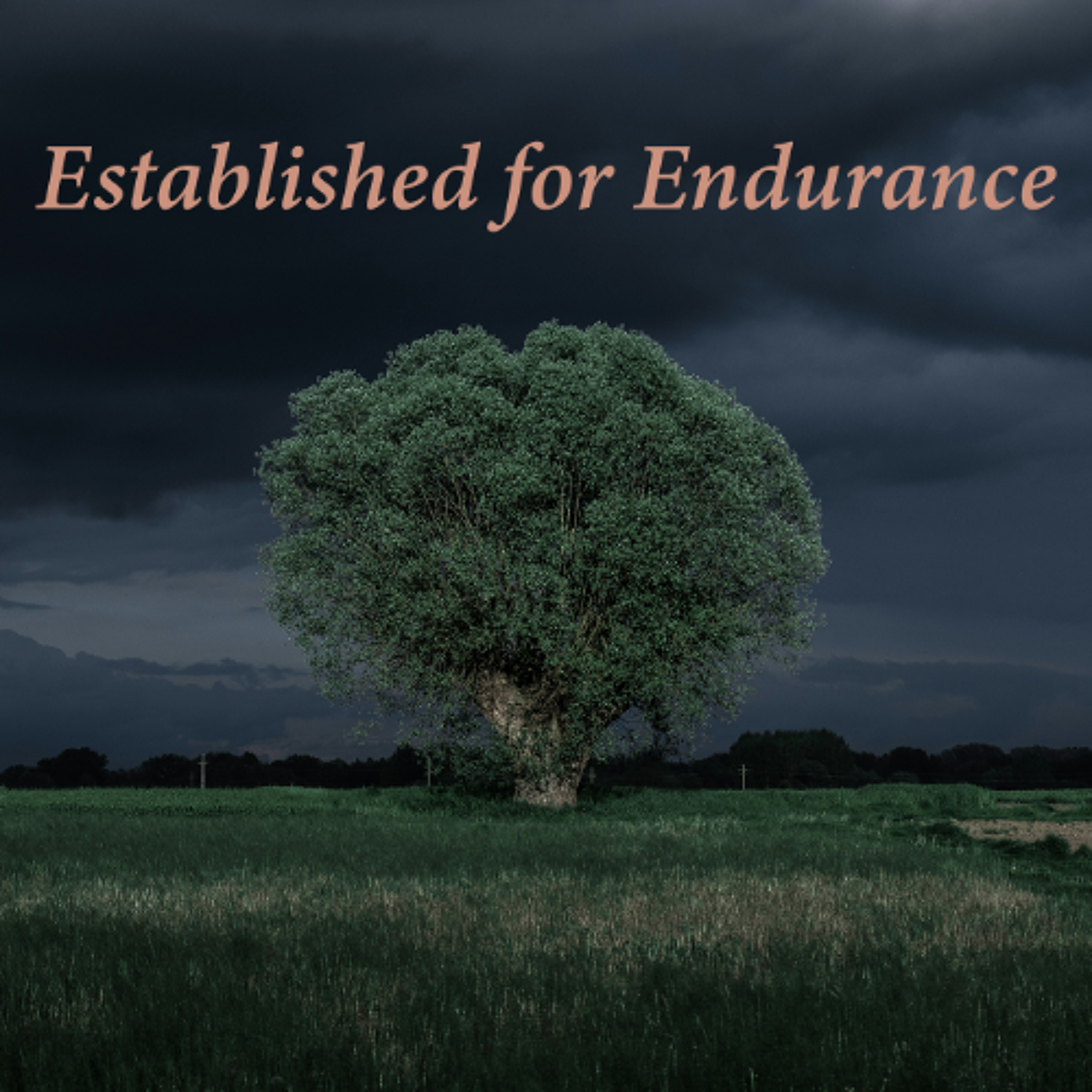 Established for Endurance episode artwork