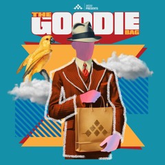 The Goodie Bag Flex Pack Demo 2