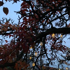 Vi är olika därför är vi inte olika