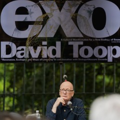 David Toop - Resonance, Ecologies and Ways of Listening – Lecture at Terraforma Exo