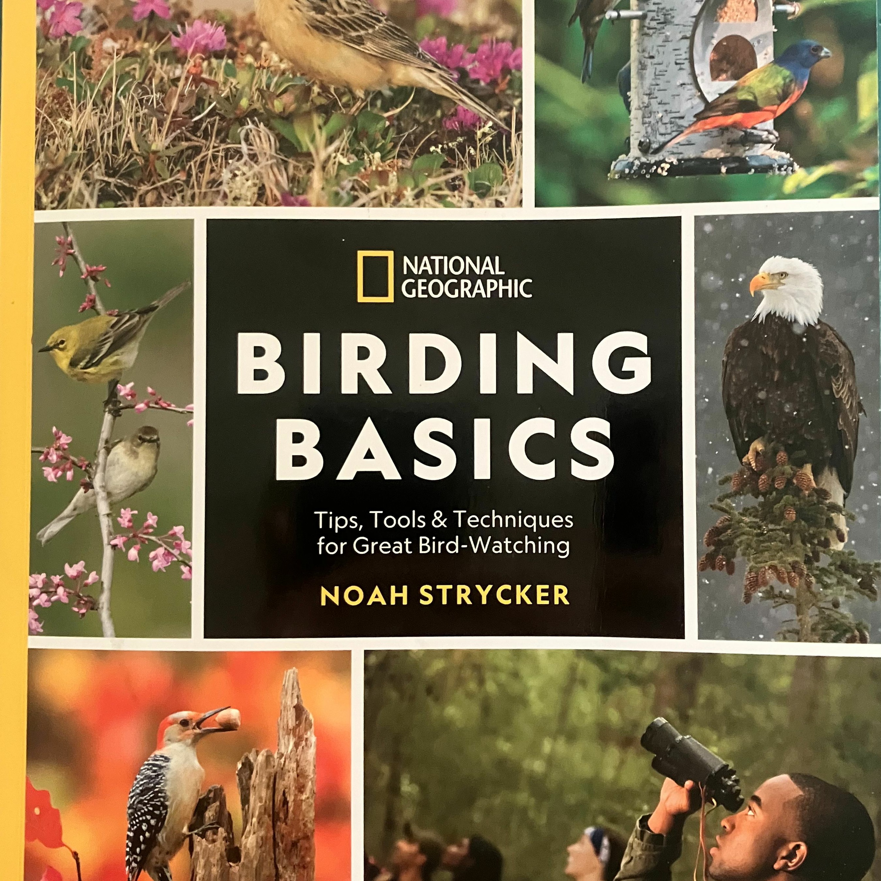 Grand Birds