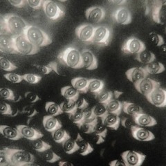 XLR_IGueSseDThings.wav