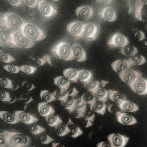 XLR_IGueSseDThings.wav