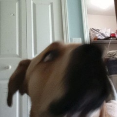 The love of my life, Altoids