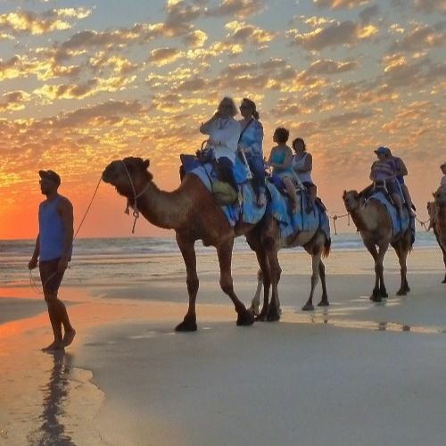 Stream Laurentiu Pilaf Listen to Caravan of Souls playlist online for free on SoundCloud