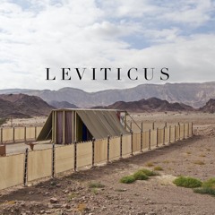 Leviticus 23 - 24