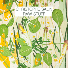 PREMIERE: Christophe Salin - More Than Just The Words [SALIND009]