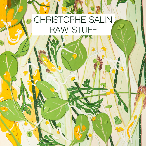 PREMIERE: Christophe Salin - More Than Just The Words [SALIND009]