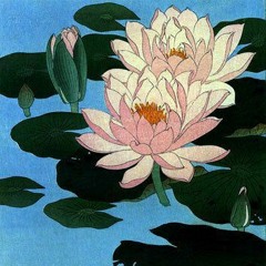 Каору сказал:"ты мне нравишься".