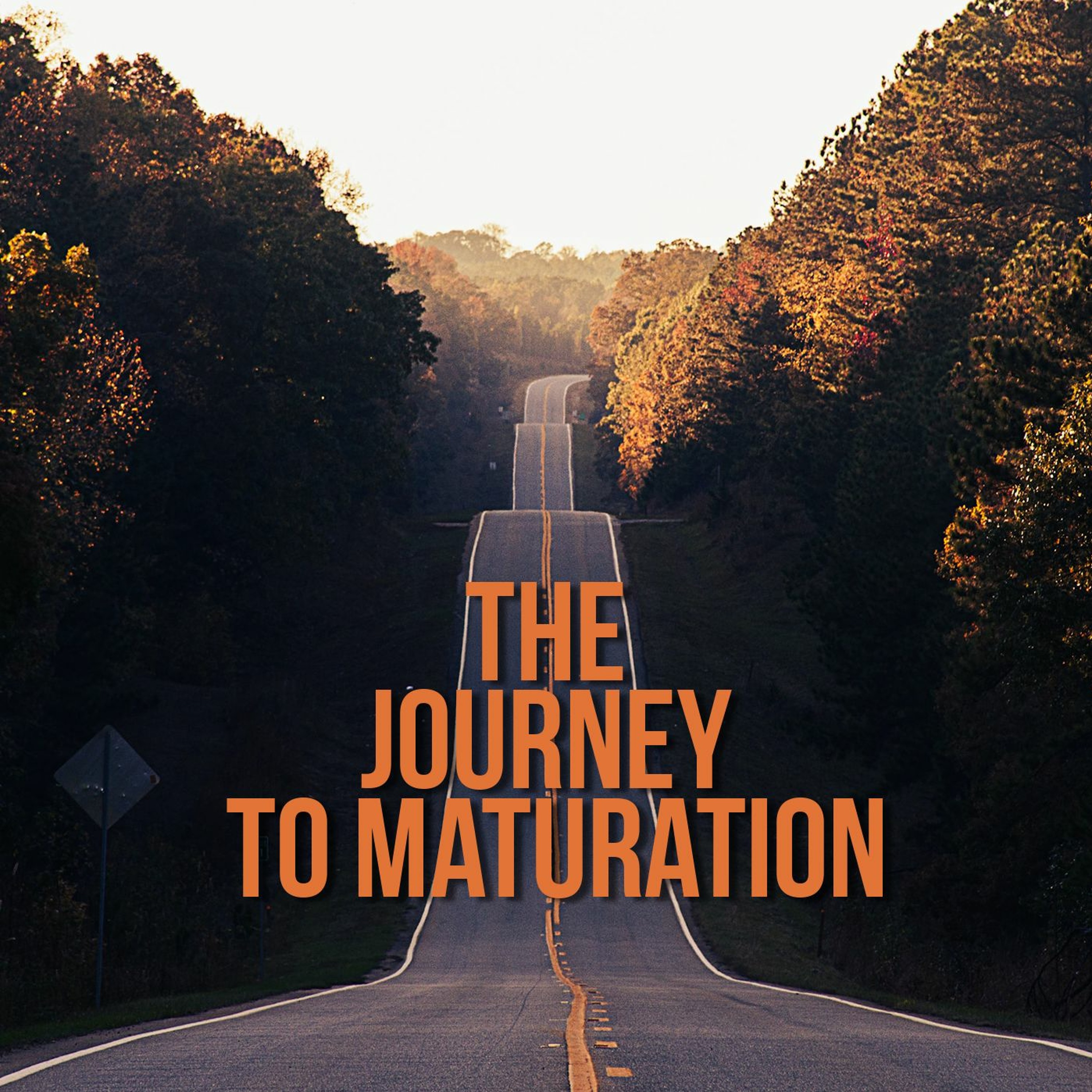 The Journey to Maturation episode artwork