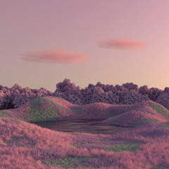 Cherry Blossom Garden