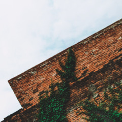 ivy on brick (prod. twintails)