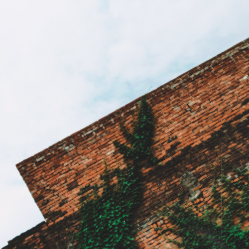ivy on brick (prod. twintails)
