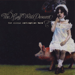 Pink Elephants On Parade - The Circus Contraption Band