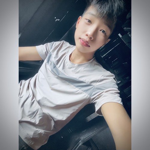 NST Gõ Việt Mix - Nguyễn Thế Ngọc