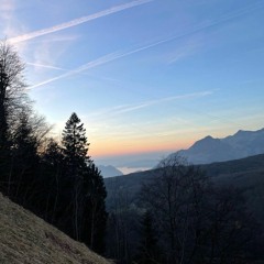 alp-wichel