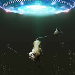 Abduction ላሟን እርዳት!