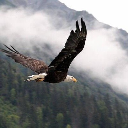 عالي لفوق أنا رافع إيدي - خدمة السماء على الأرض - مصر