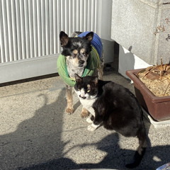 마음을 드려요