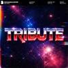 AudioMan - Tribute