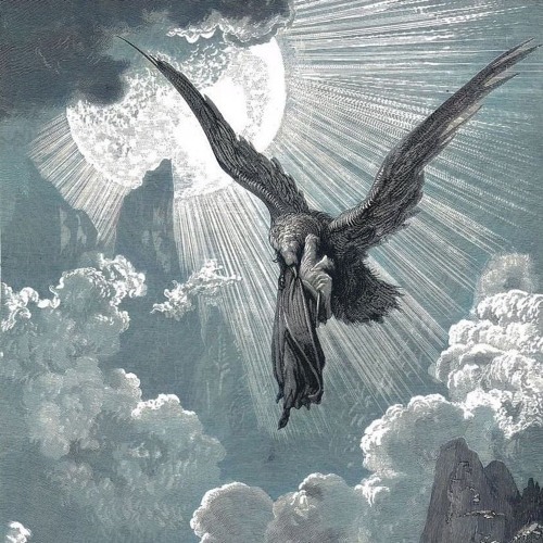 Androcell - Fungus Garden