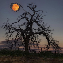 razors in my candy (p. crona)