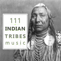 111 Indian Tribes Music: Native American Flute, Tibetan Bowls, Bells & Nature Sounds for Relaxation, Reiki Massage and Chakra Healing