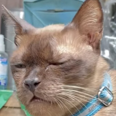 ติดอยู่ในนิทาน - RANGER x YUNGFORTYSIX x TANTHAM x VareeONE PLO (Official MV)