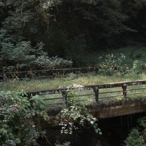 Wannabe - Why Mona (End Part) (Sped Up)