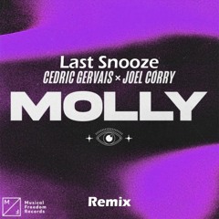 Cedric Gervais x Joel Corry - MOLLY (Last Snooze Remix)