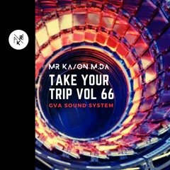 Take Your Trip Vol 66