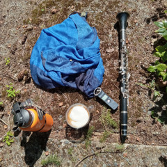 squeaky clarinet
