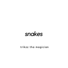 snakes (prod. trikzz tha magician)