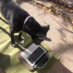 Dance pastures ft. Otto Nervous