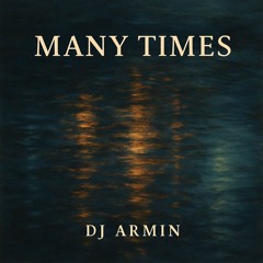 Many Times (Cover)