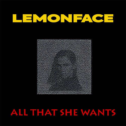 LEMONFACE x ACE OF BASE - ALL THAT SHE WANTS
