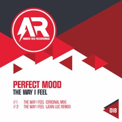 Perfect Mood - The Way I Feel (Jean Luc Remix) Snippet