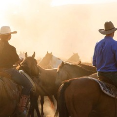 COWBOY RIDER by Leonard Johnson