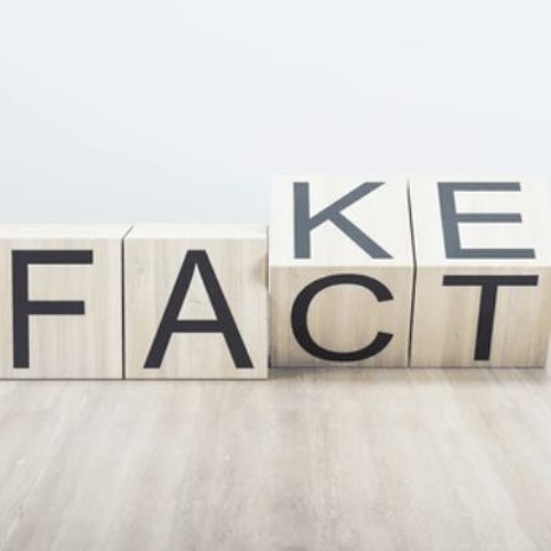 From the Frontlines: Misinformation and Disinformation - What Can You Do?