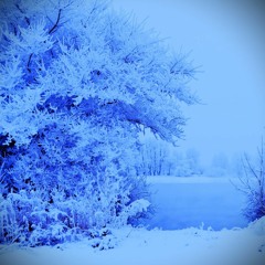 The endless Winter