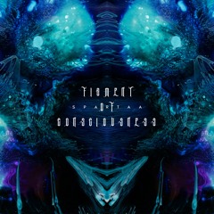 Figment of Consciousness