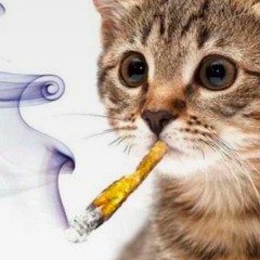 Rest in flouuu (prod. Me)