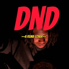 DND (Rema Cover)