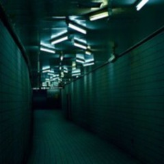 Running for the night - Gabriel Fiori