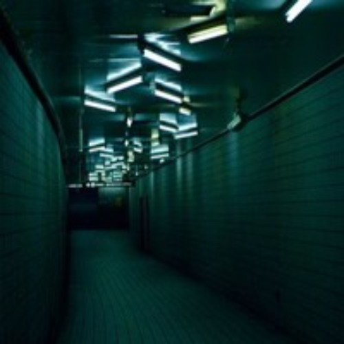 Running for the night - Gabriel Fiori