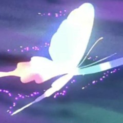 fase yoda - butterflies (slowed + reverb)