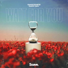 Swizznife - Wait For You (ft. Sam Day)