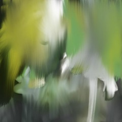 Suda