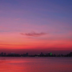 hoa nở không màu(cov.)